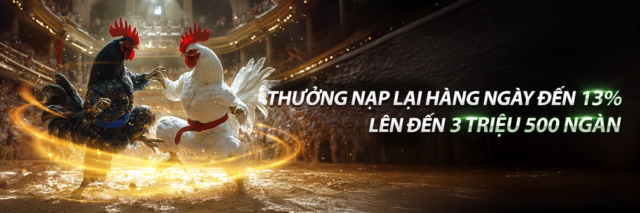Đá gà trực tiếp